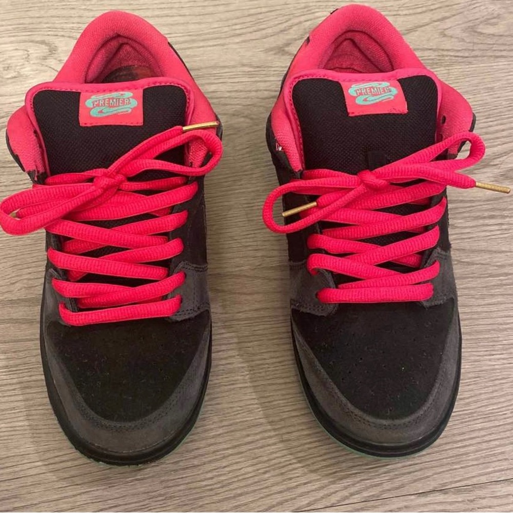 Nike SB Northern Light Lows Sz 8.5